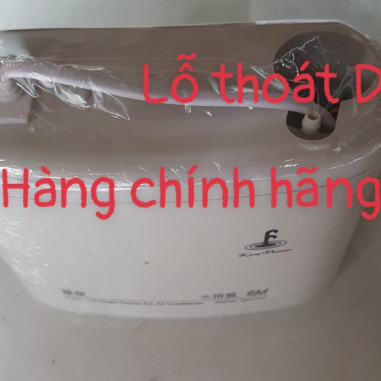 BƠM KINGPUMP 6M